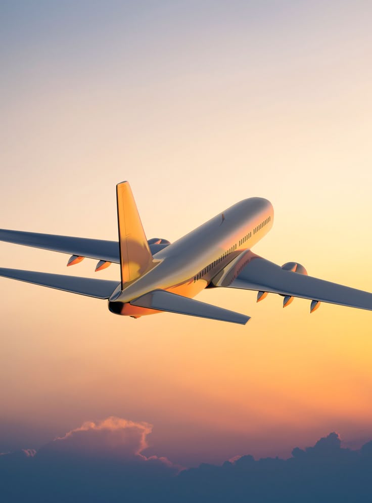 Travel Consultation