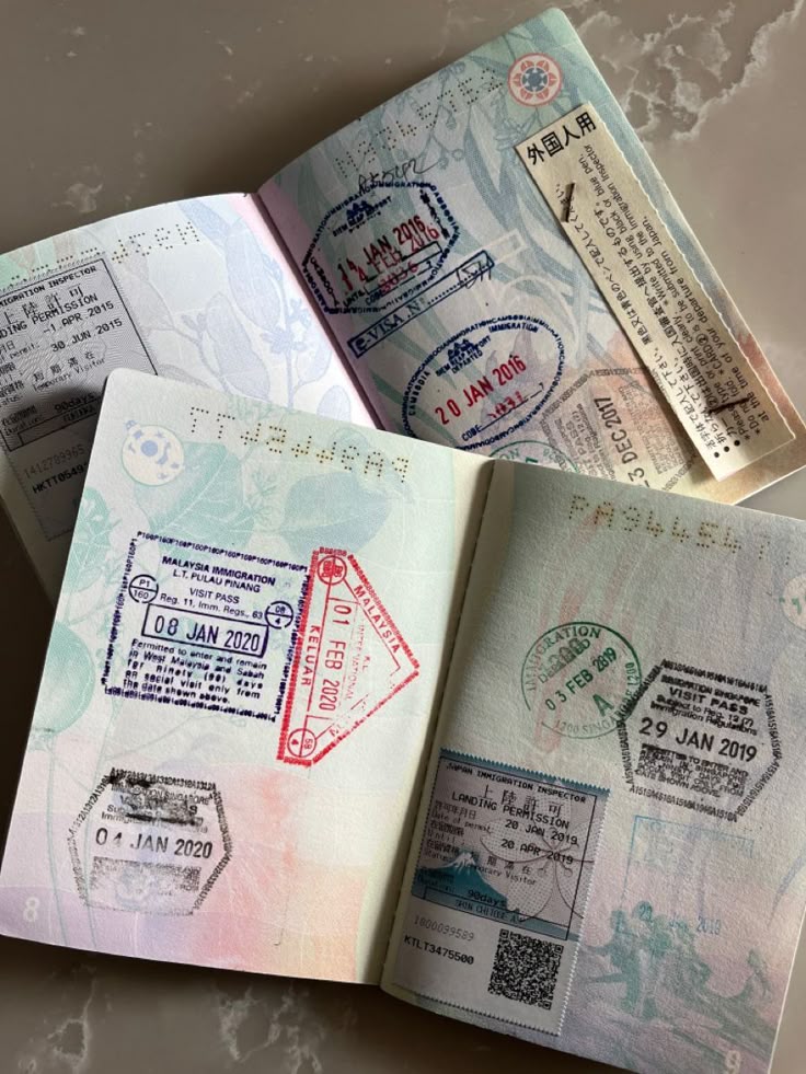 Visa Application