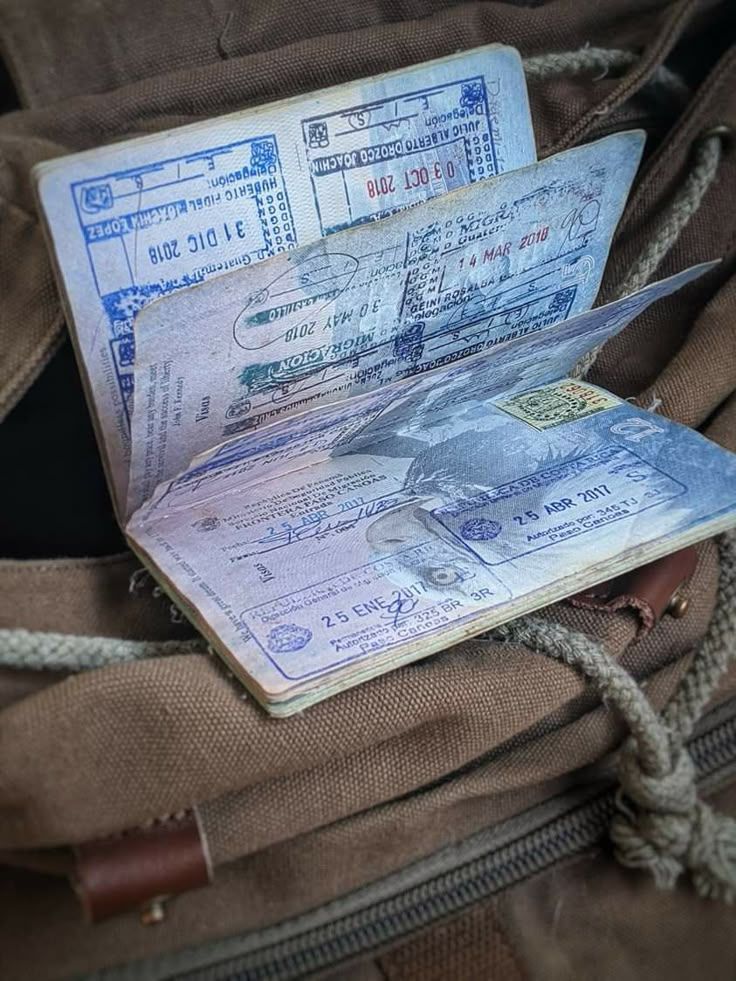 Passport and Visa Stamps